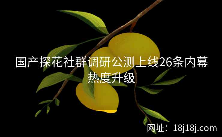 国产探花社群调研公测上线26条内幕热度升级