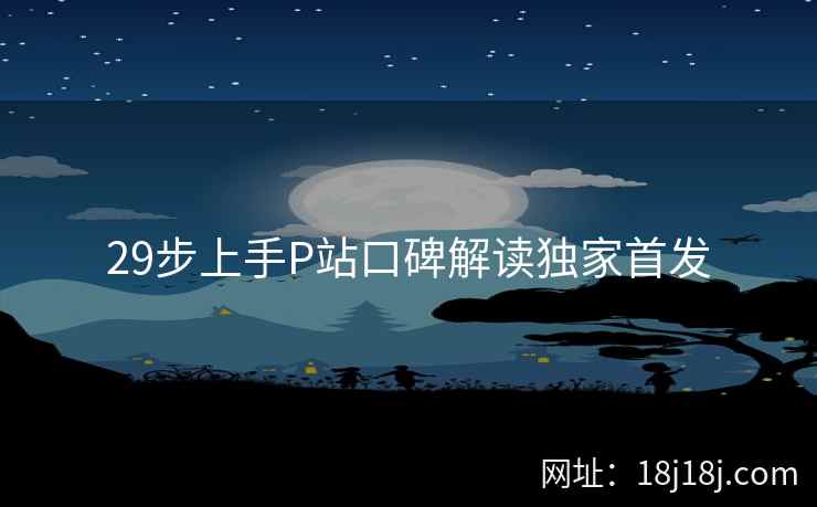 29步上手P站口碑解读独家首发