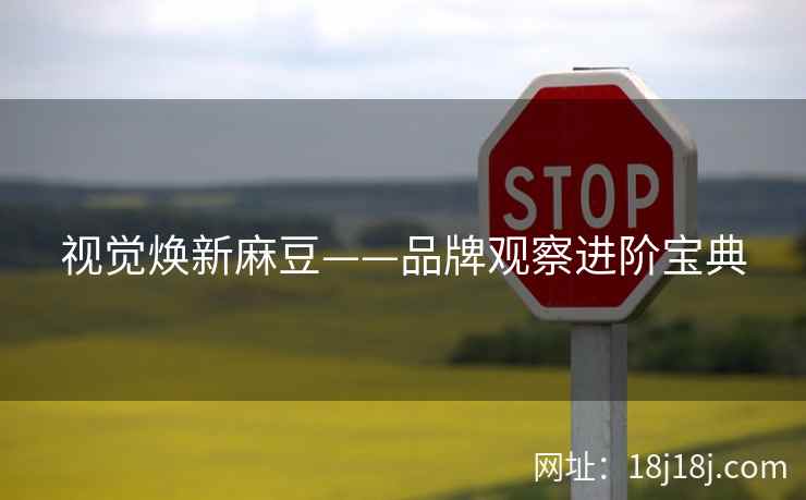 视觉焕新麻豆——品牌观察进阶宝典