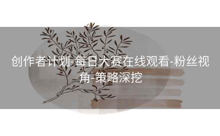创作者计划-每日大赛在线观看-粉丝视角-策略深挖
