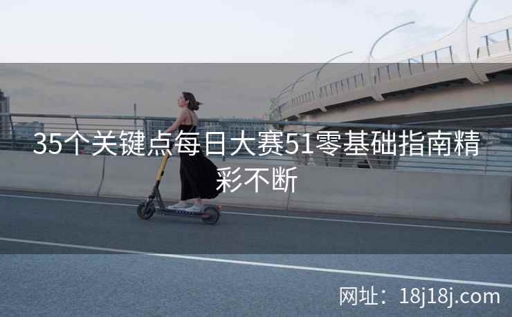 35个关键点每日大赛51零基础指南精彩不断