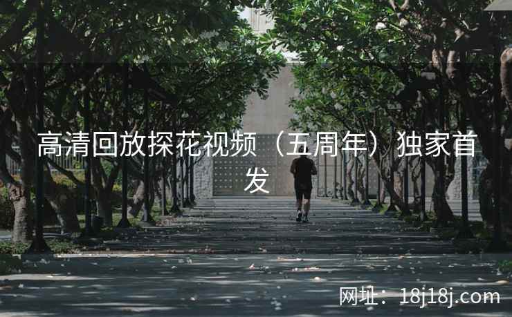 高清回放探花视频（五周年）独家首发