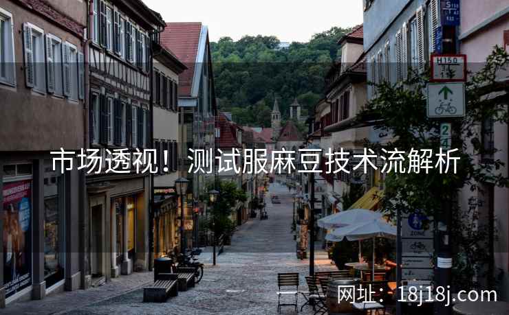 市场透视！测试服麻豆技术流解析