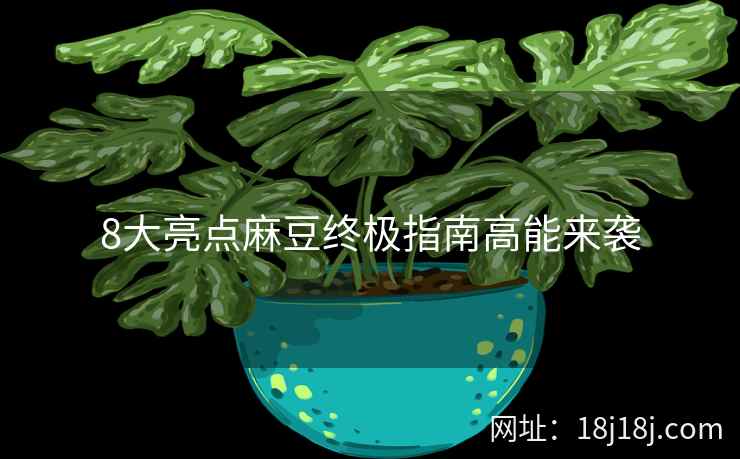 8大亮点麻豆终极指南高能来袭