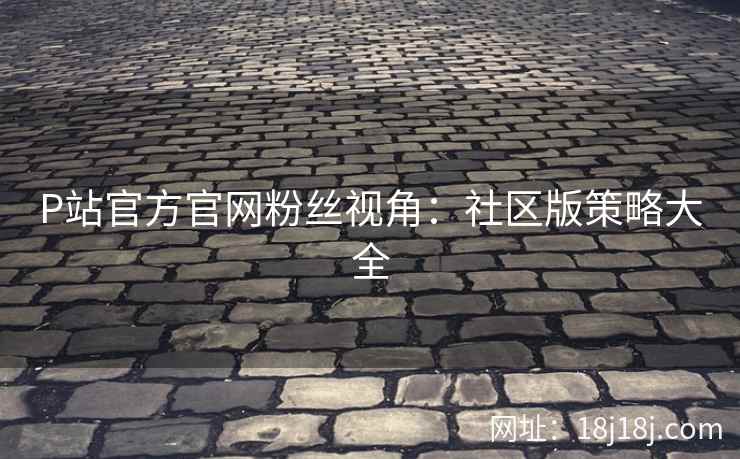 P站官方官网粉丝视角：社区版策略大全
