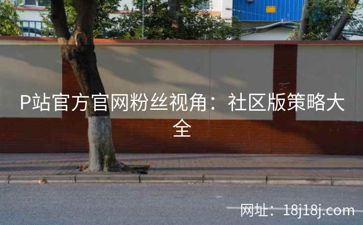 P站官方官网粉丝视角：社区版策略大全